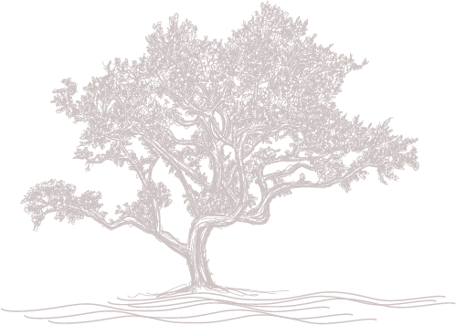 oaks-daniel-island-logo-icon-taupe